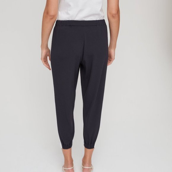 Aritzia Babaton Dexter pull on tuxedo trouser pant - Picture 4 of 12